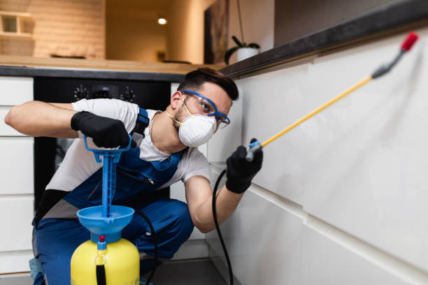 Best Bed Bug Extermination  in Batesville, TX