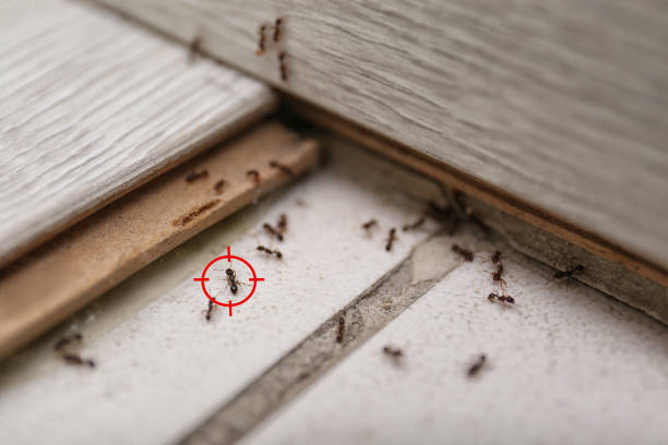 Batesville, TX Pest Control Company
