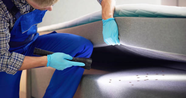 Best Exterminator Services  in Batesville, TX