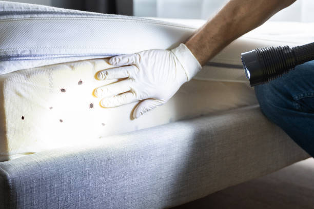 Best Commercial Pest Control Services  in Batesville, TX