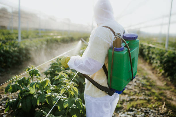 Pest Control for Restaurants in Batesville, TX